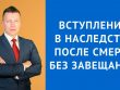 Кому достанется наследство после смерти брата без завещания